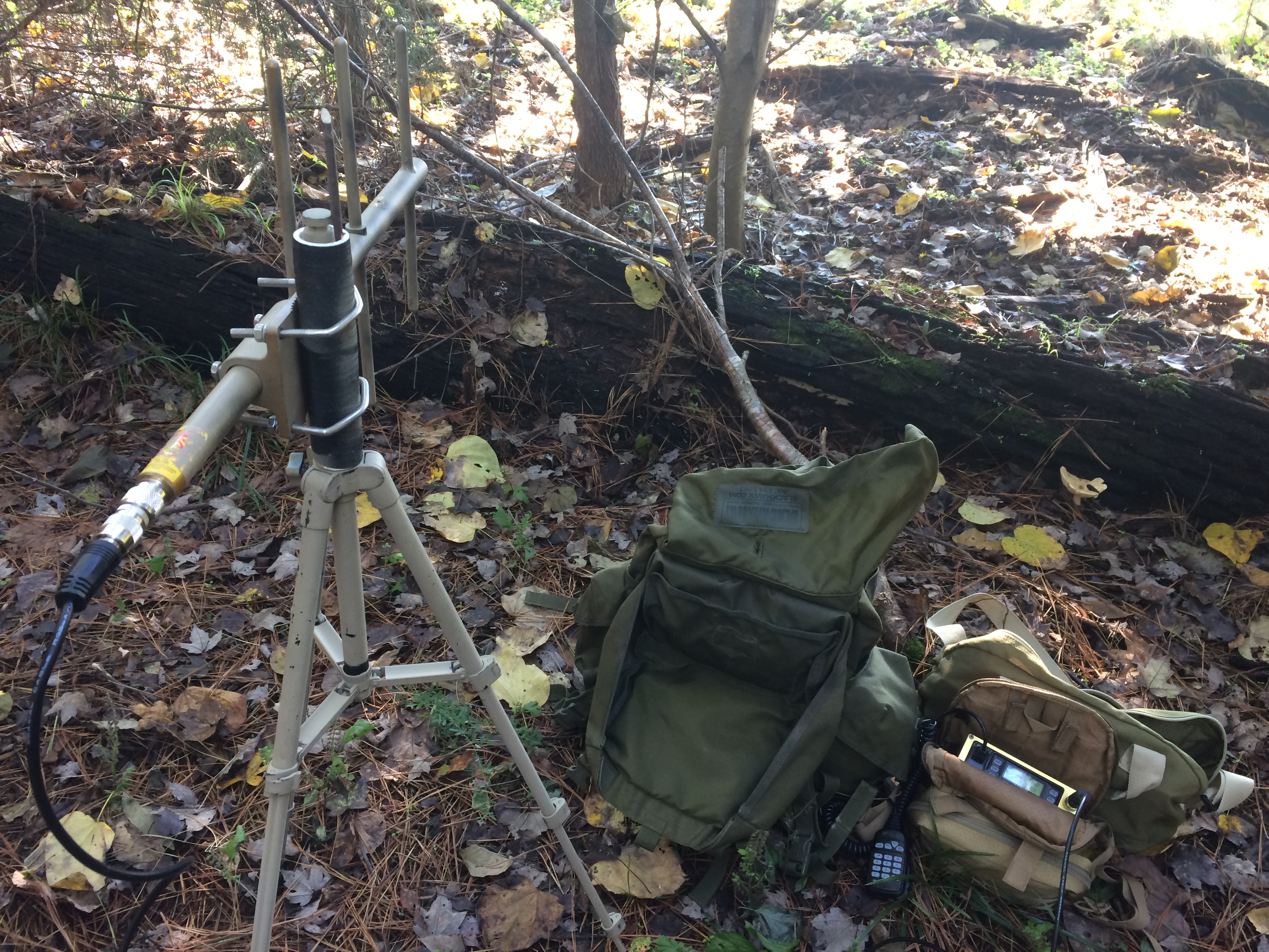 Advanced RTO: A Practical Exercise In Photos – brushbeater
